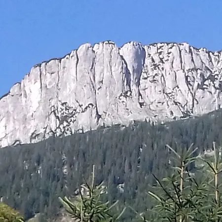 Weiss Waidring